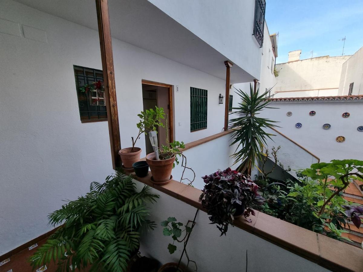 Apartamentos En Patio Cordobes San Basilio Кордова Екстер'єр фото