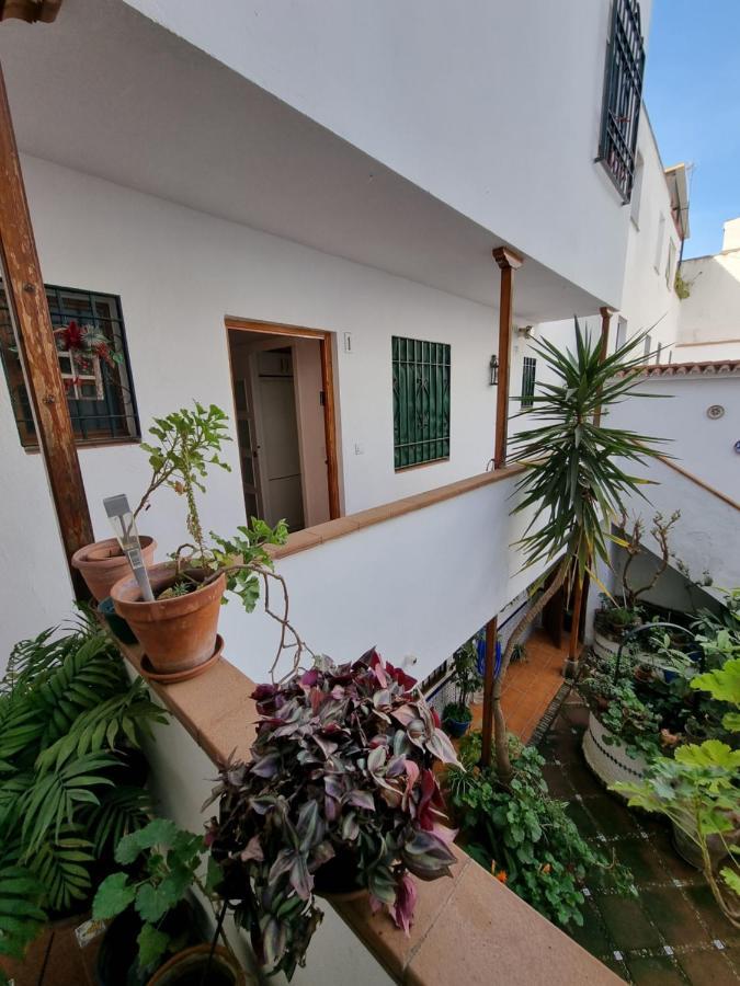 Apartamentos En Patio Cordobes San Basilio Кордова Екстер'єр фото